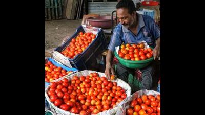 The steep rise in prices is being attributed to inclement weather conditions that have disrupted local tomato production in Punjab. (PTI) The steep rise in prices is being attributed to inclement weather conditions that have disrupted local tomato production in Punjab. (PTI)