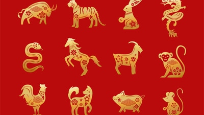 Read your weekly Chinese love horoscope based on your zodiac sign. (Freepik) Read your weekly Chinese love horoscope based on your zodiac sign. (Freepik)