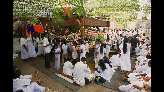 Celebrating the Vesak festival in a Buddhist temple in Colombo. (Shutterstock) Celebrating the Vesak festival in a Buddhist temple in Colombo. (Shutterstock)