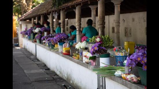 A flower market in Sri Lanka selling lotuses to be offered to Buddha. (Shutterstock) A flower market in Sri Lanka selling lotuses to be offered to Buddha. (Shutterstock)