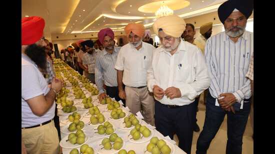 PAU V-C Satbir Singh Gosal during the exhibition in Dasuya on Tuesday. (HT Photo)