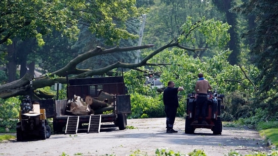 Chicago and surrounding areas devastated by Derecho storm with power outages, uprooted trees, and dangerous wind gusts(AP)