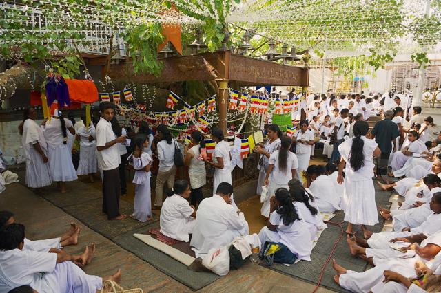 Celebrating the Vesak festival in a Buddhist temple in Colombo. (Shutterstock) Celebrating the Vesak festival in a Buddhist temple in Colombo. (Shutterstock)