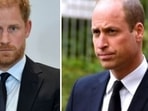 Prince William has taken a firm stand about royal family's relations with brother Prince Harry.
(AP/PTI, Andy Kelvin/PA via AP) Prince William has taken a firm stand about royal family's relations with brother Prince Harry.
(AP/PTI, Andy Kelvin/PA via AP)