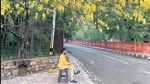 Ali sits under an amaltas tree on a Mathura Road pavement. Ali sits under an amaltas tree on a Mathura Road pavement.