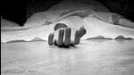 Three cattle transporters were found dead below the Mahanadi river bridge at Arang in Chhattisgarh’s Raipur in June. (Representational image) Three cattle transporters were found dead below the Mahanadi river bridge at Arang in Chhattisgarh’s Raipur in June. (Representational image)