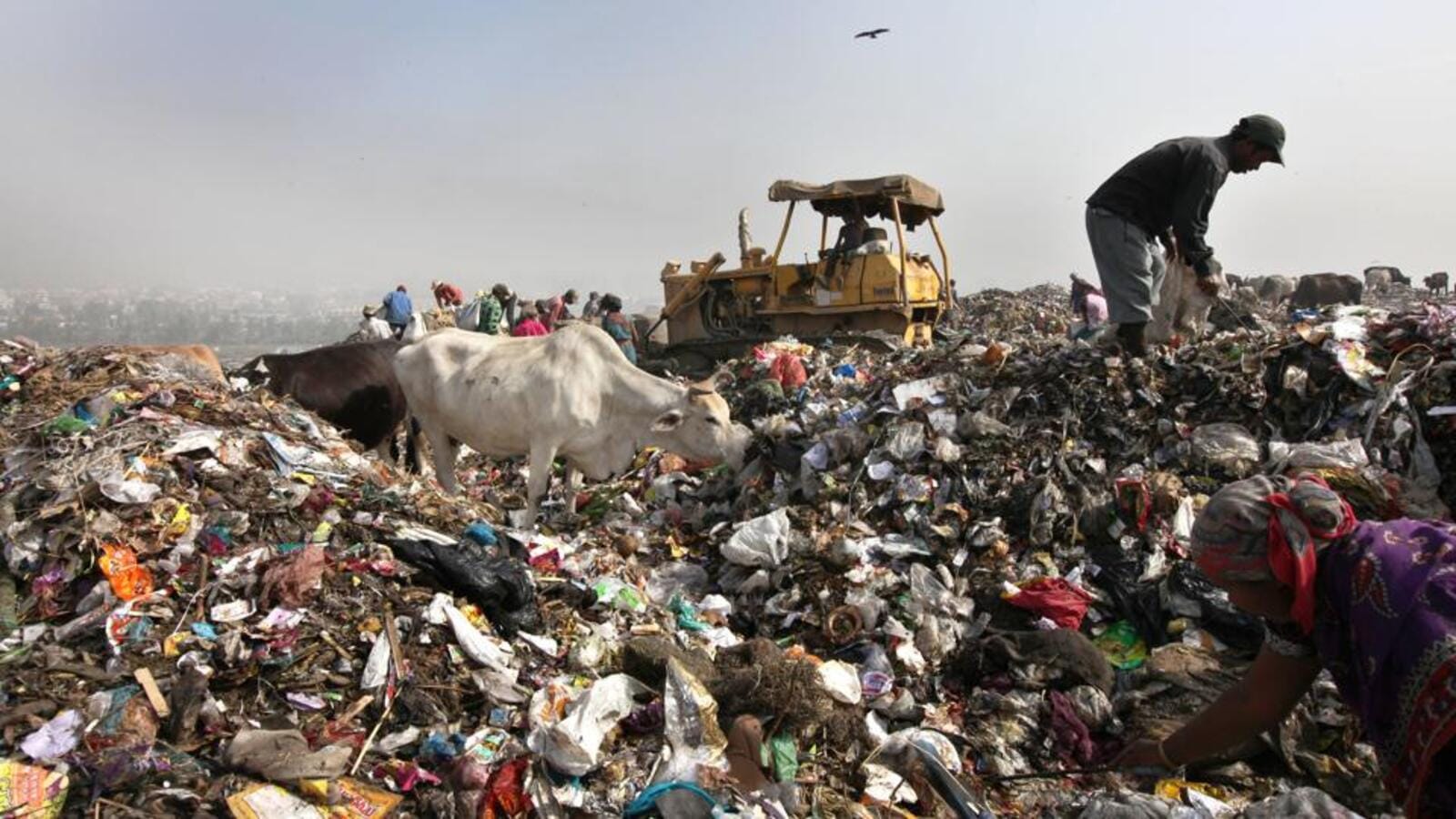 MCD to expand Okhla, Tehkhand waste-to-energy plants, ease Ghazipur landfill burden | Latest News Delhi
