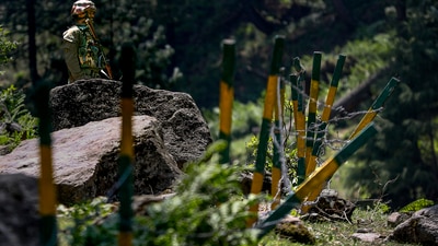 Doda: An Army personnel stands guard at a forest area near the encounter site, in Desa village of Doda district, Jammu and Kashmir, Wednesday, July 17, 2024. Four Army personnel, including a captain, were killed in a terrorist encounter in the area on Monday night. (PTI Photo) (PTI) Doda: An Army personnel stands guard at a forest area near the encounter site, in Desa village of Doda district, Jammu and Kashmir, Wednesday, July 17, 2024. Four Army personnel, including a captain, were killed in a terrorist encounter in the area on Monday night. (PTI Photo) (PTI)