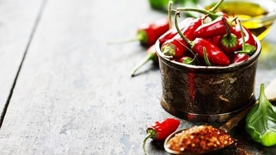  Intense reaction to spicy food: Often the way we intensely react to spicy food can be a reaction of trauma. Trauma often heightens reaction to stimuli. (Shutterstock) Intense reaction to spicy food: Often the way we intensely react to spicy food can be a reaction of trauma. Trauma often heightens reaction to stimuli. (Shutterstock)