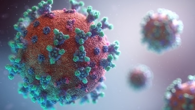 Coronavirus cases rapidly rise in several states in the US. Coronavirus cases rapidly rise in several states in the US.