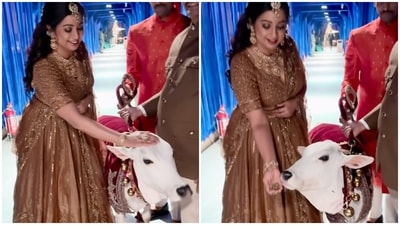 Shreya Ghoshal at Anant Ambani and Radhika Merchant's wedding celebrations in Mumbai. Shreya Ghoshal at Anant Ambani and Radhika Merchant's wedding celebrations in Mumbai.