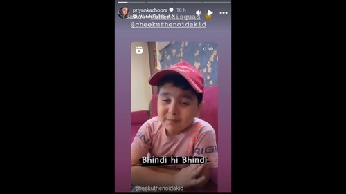 Screengrab of Priyanka Chopra's Instagram Story on bhindi. (Instagram/@priyankachopra) Screengrab of Priyanka Chopra's Instagram Story on bhindi. (Instagram/@priyankachopra)