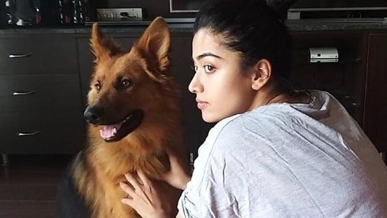 Rashmika Mandanna mourns the death of her pet: ‘Rest in peace my goodest boi’