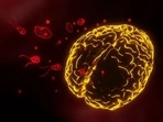 The state of Kerala reported its fourth fatality due to a rare microorganism – brain eating amoeba.(Unsplash) The state of Kerala reported its fourth fatality due to a rare microorganism – brain eating amoeba.(Unsplash)