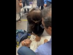 The doctor can be seen giving the man CPR. The doctor can be seen giving the man CPR.