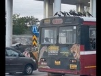 Mumbai: Crows sitting on the roof of the BEST bus. 