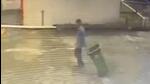 Housekeeper beats two puppies to death, throws them off terrace Housekeeper beats two puppies to death, throws them off terrace