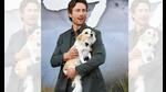Glen Powell regularly brings his dog, Brisket, to events.