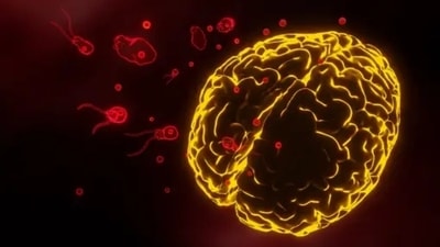 The state of Kerala reported its fourth fatality due to a rare microorganism – brain eating amoeba. (Unsplash)