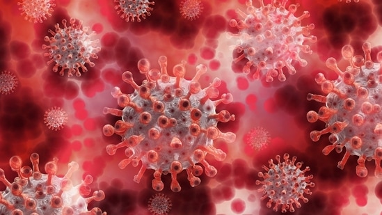 Severe viral infections can arise in people with a compromised type 1 interferon system because the body is unable to mount a complete defence.(Pixabay)