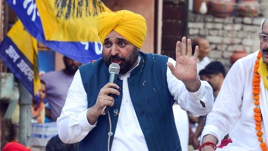 Punjab chief minister and AAP leader Bhagwant Singh Mann announced during a press conference that the party would contest solo in the upcoming Haryana elections