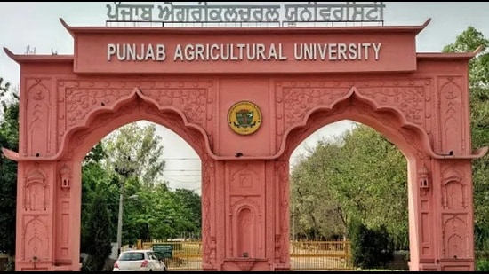 The programme coordinator Prerna Kapila said that the training programme was planned keeping in the mind the rising preference for the use of ornamental plants for landscaping at the rooftop of the houses, farms or other surrounding areas. (HT File Photo)