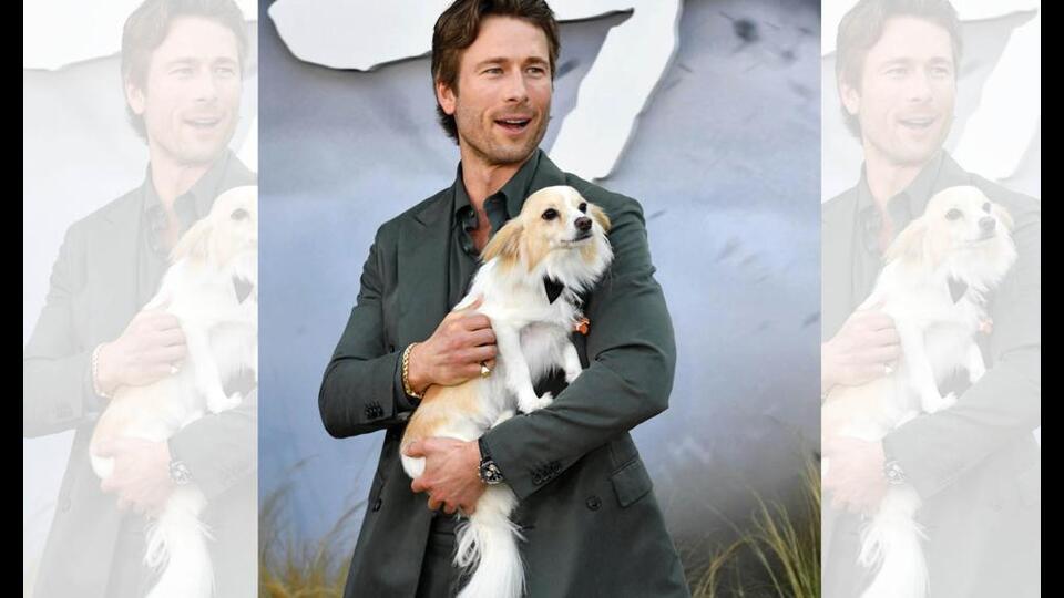 Glen Powell regularly brings his dog, Brisket, to events.
