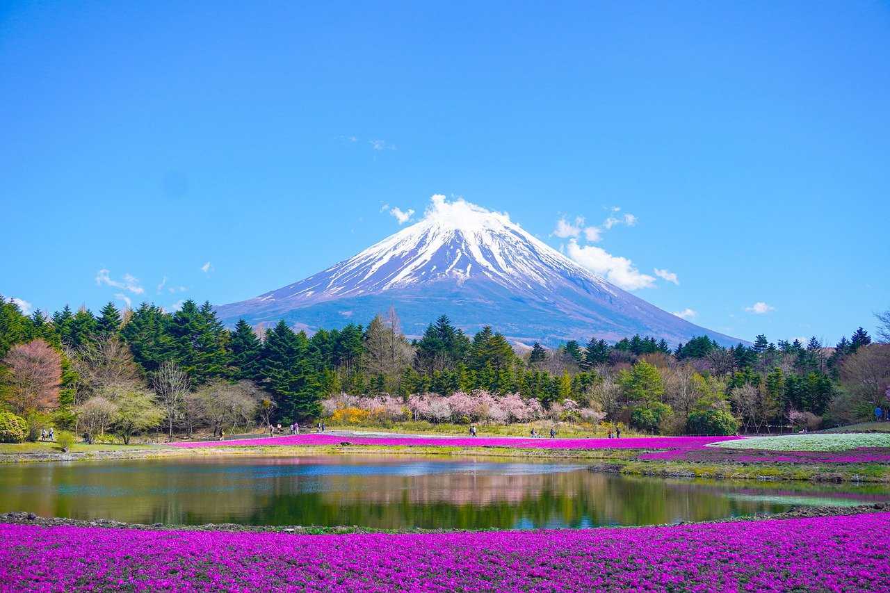 Unwind in the laps of Mount Fuji and the beautiful flowers. (Pixabay)