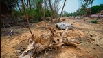 The top court recently constituted a committee of three experts along with a team from Forest Survey of India (FSI) to determine the total number of trees cut. This report is still awaited. (HT Photo) The top court recently constituted a committee of three experts along with a team from Forest Survey of India (FSI) to determine the total number of trees cut. This report is still awaited. (HT Photo)