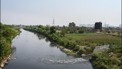 As of now the sewage of dozens of societies located in Greater Noida West goes into drains polluting Hindon and Yamuna rivers. Due to non-existence of STPs in this area, the sewage of these societies is getting dumped into drains or vacant areas. (Sunil Ghosh/HT Photo) As of now the sewage of dozens of societies located in Greater Noida West goes into drains polluting Hindon and Yamuna rivers. Due to non-existence of STPs in this area, the sewage of these societies is getting dumped into drains or vacant areas. (Sunil Ghosh/HT Photo)