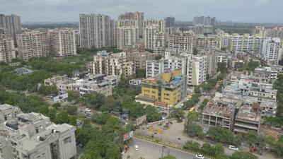 Despite undertaking plantation drives on such a large scale every year, the district’s forest cover has shown no increase since 2017, said officials quoting Forest Survey of India data. (Sakib Ali/HT Photo) Despite undertaking plantation drives on such a large scale every year, the district’s forest cover has shown no increase since 2017, said officials quoting Forest Survey of India data. (Sakib Ali/HT Photo)