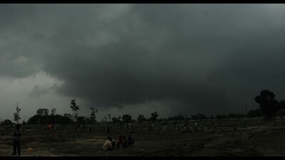 Kukrail Forest in Lucknow (HT File) Kukrail Forest in Lucknow (HT File)