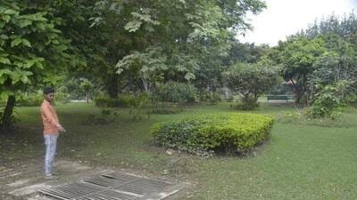 The rainwater harvesting in parks, instead of rooftop rainwater harvesting, involves the risk of polluting the aquifers with fertilisers and the sewage treatment plant (STP) water used in the parks, say environment activists. (HT Photo) The rainwater harvesting in parks, instead of rooftop rainwater harvesting, involves the risk of polluting the aquifers with fertilisers and the sewage treatment plant (STP) water used in the parks, say environment activists. (HT Photo)