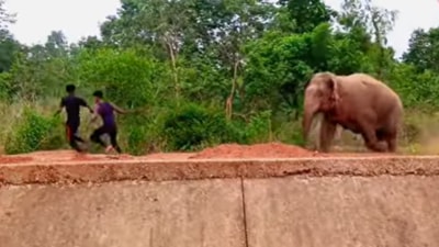 The videos were mostly shot in Jhargram district in south Bengal and the neighbouring state of Jharkhand where man-elephant conflict claims dozens of lives every year (YouTube/@Rahulkalyani31) The videos were mostly shot in Jhargram district in south Bengal and the neighbouring state of Jharkhand where man-elephant conflict claims dozens of lives every year (YouTube/@Rahulkalyani31)