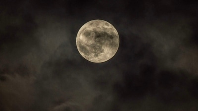 Full Moon peaks through the clouds in Ely, Cambridgeshire, England. (X - Veronica in the Fens @VeronicaJoPo) Full Moon peaks through the clouds in Ely, Cambridgeshire, England. (X - Veronica in the Fens @VeronicaJoPo)