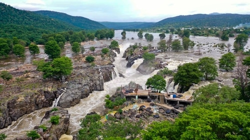 River Cauvery is in spate in Hogenakkal with increased inflow due to release of surplus water from Karnataka dams, in Dharmapuri district on July 18, 2024. (PTI) River Cauvery is in spate in Hogenakkal with increased inflow due to release of surplus water from Karnataka dams, in Dharmapuri district on July 18, 2024. (PTI)