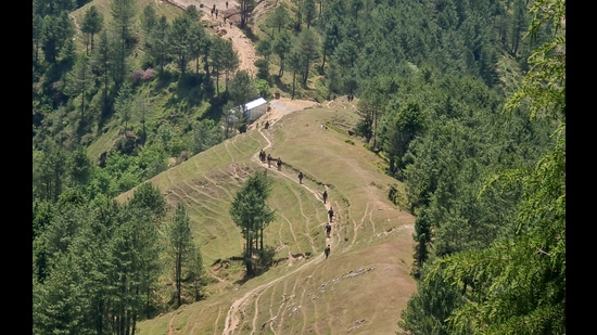 Doda, Jun 13 (ANI): The Indian Army conducts a search operation in the dense forests of different districts to track down and neutralise terrorists after a Special Police officer was injured in exchange of fire with terrorists in the Gandoh area, in Doda on Thursday. (ANI Photo) (ANI)