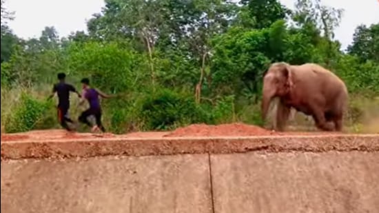 The videos were mostly shot in Jhargram district in south Bengal and the neighbouring state of Jharkhand where man-elephant conflict claims dozens of lives every year (YouTube/@Rahulkalyani31)