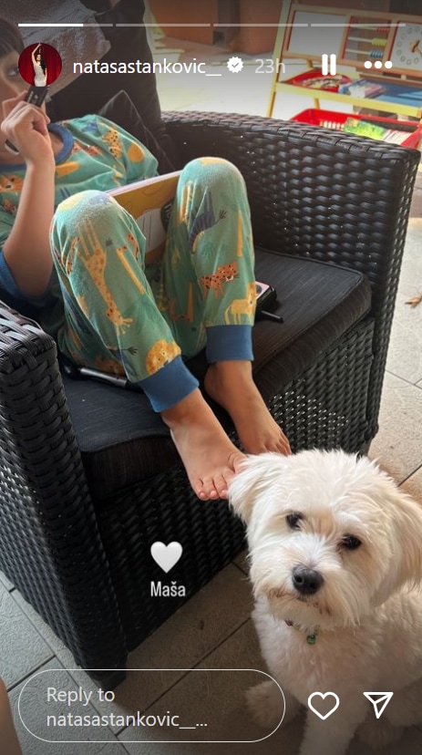 Hardik-Natasa's son Agastya with his pet at his Siberian Home.