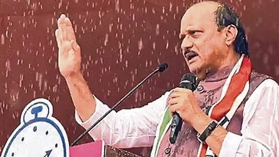 Pawar announced the Ladki Bahin scheme (for financial assistance to women). (HT PHOTO) Pawar announced the Ladki Bahin scheme (for financial assistance to women). (HT PHOTO)