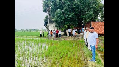 The dry monsoon so far has not only failed to give respite from scorching heat to the public but has also led to humid weather conditions in most part of Haryana. (HT Photo) The dry monsoon so far has not only failed to give respite from scorching heat to the public but has also led to humid weather conditions in most part of Haryana. (HT Photo)