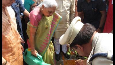U.P. governor Anandiben Patel planting a sapling in Sitapur district under the mega plantation drive on July 20. (Sourced)