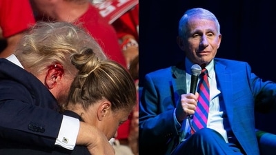 Dr Anthony Fauci claimed Trump’s ear injury from the assassination attempt was ‘superficial’. (Photo by Rebecca DROKE / AFP) / QUALITY REPEAT, AP Photo/Jose Luis Magana)
