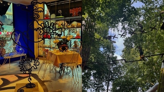 Mira Rajput also gave glimpses from her outing. She posted pictures of a decorated room and also one featuring trees. 