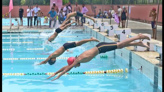 204 boys and 135 girl swimmers from 13 districts are participating in Punjab swimming championships 2024 being held at PAU. (Hindustan Times)
