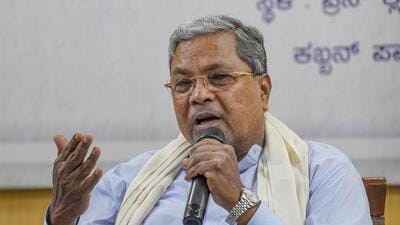 Experts have warned that the proposed actions could violate the Wildlife Protection Act and exacerbate human-wildlife conflicts and poaching (PTI) Experts have warned that the proposed actions could violate the Wildlife Protection Act and exacerbate human-wildlife conflicts and poaching (PTI)