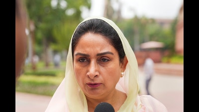 Shiromani Akali Dal (SAD) MP Harsimrat Kaur Badal (PTI File)