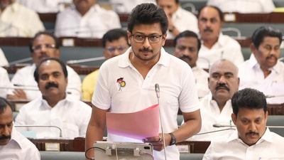 Tamil Nadu minister Udhayanidhi Stalin in the Legislative Assembly. (PTI)