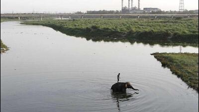 Yamuna enters Delhi near Palla and transverses about 48 km through the national capital. (HT Archive) Yamuna enters Delhi near Palla and transverses about 48 km through the national capital. (HT Archive)