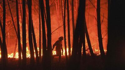 Forest fires have been a recurring issue in Maharashtra, with a significant rise in incidents during the summer season. (REPRESENTATIVE PHOTO) Forest fires have been a recurring issue in Maharashtra, with a significant rise in incidents during the summer season. (REPRESENTATIVE PHOTO)